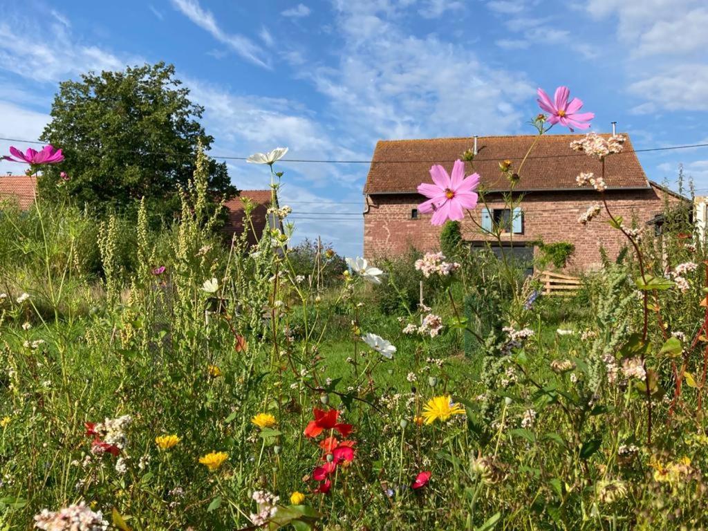 Appartamento La Grange De Bois De Chene Phalsbourg Esterno foto